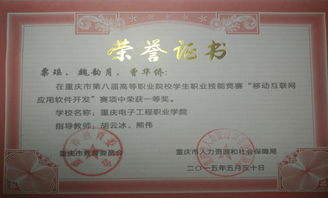 移動互聯網技術專業的核心價值 技術服務驅動數字未來